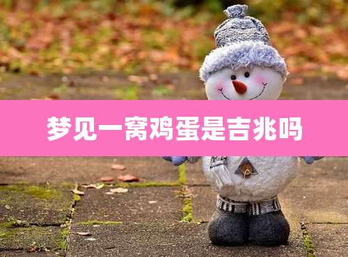 梦见一窝鸡蛋是吉兆吗