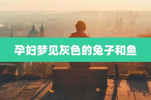 孕妇梦见灰色的兔子和鱼