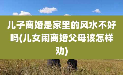 儿子离婚是家里的风水不好吗(儿女闹离婚父母该怎样劝)