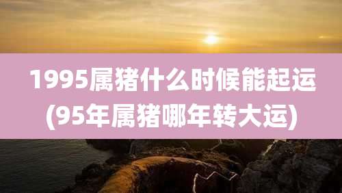 1995属猪什么时候能起运(95年属猪哪年转大运)