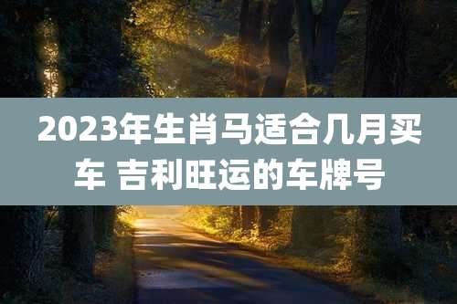 2023年生肖马适合几月买车 吉利旺运的车牌号