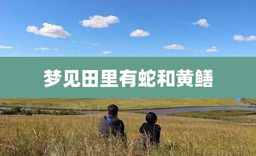 梦见田里有蛇和黄鳝