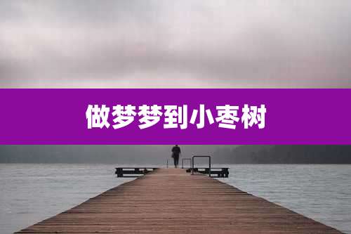 做梦梦到小枣树