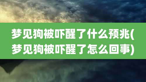 梦见狗被吓醒了什么预兆(梦见狗被吓醒了怎么回事)