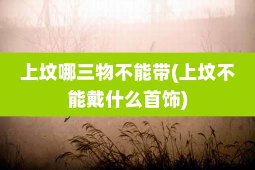 上坟哪三物不能带(上坟不能戴什么首饰)