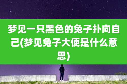 梦见一只黑色的兔子扑向自己(梦见兔子大便是什么意思)
