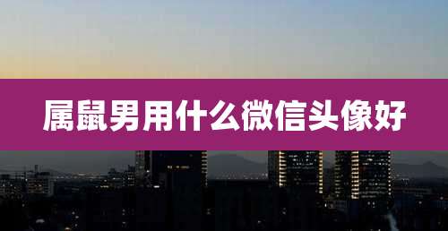 属鼠男用什么微信头像好