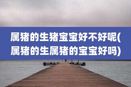 属猪的生猪宝宝好不好呢(属猪的生属猪的宝宝好吗)