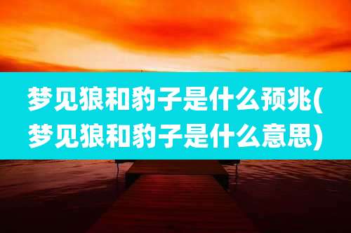 梦见狼和豹子是什么预兆(梦见狼和豹子是什么意思)