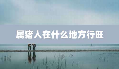 属猪人在什么地方行旺