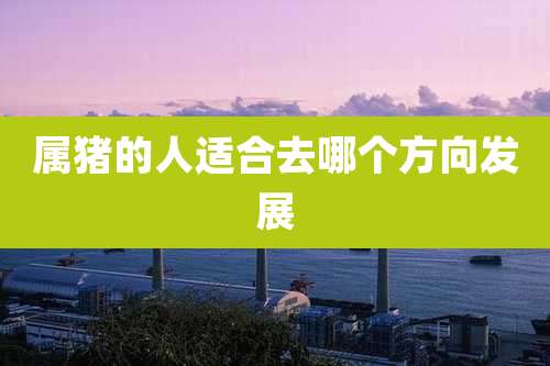 属猪的人适合去哪个方向发展