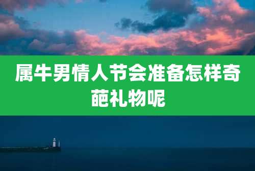 属牛男情人节会准备怎样奇葩礼物呢