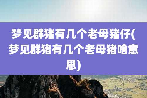 梦见群猪有几个老母猪仔(梦见群猪有几个老母猪啥意思)