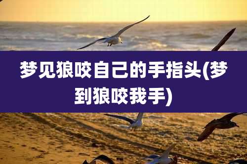 梦见狼咬自己的手指头(梦到狼咬我手)