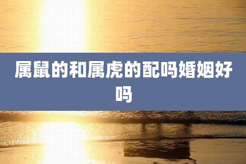 属鼠的和属虎的配吗婚姻好吗