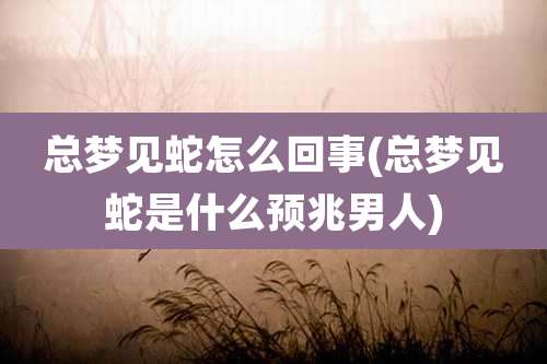 总梦见蛇怎么回事(总梦见蛇是什么预兆男人)
