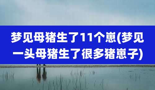 梦见母猪生了11个崽(梦见一头母猪生了很多猪崽子)