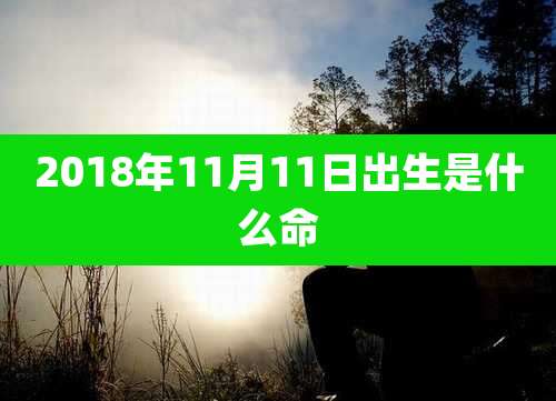2018年11月11日出生是什么命