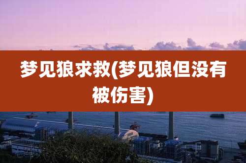 梦见狼求救(梦见狼但没有被伤害)