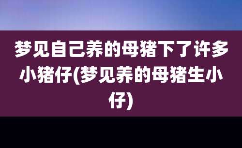 梦见自己养的母猪下了许多小猪仔(梦见养的母猪生小仔)