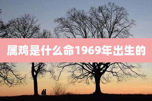 属鸡是什么命1969年出生的
