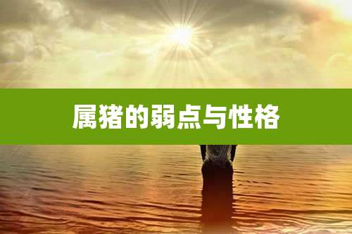 属猪的弱点与性格