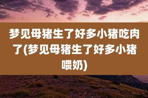 梦见母猪生了好多小猪吃肉了(梦见母猪生了好多小猪喂奶)