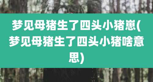 梦见母猪生了四头小猪崽(梦见母猪生了四头小猪啥意思)
