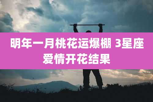 明年一月桃花运爆棚 3星座爱情开花结果