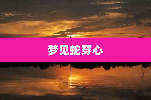 梦见蛇穿心