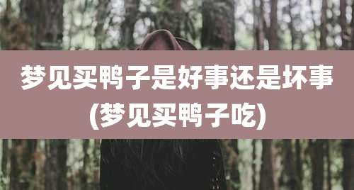 梦见买鸭子是好事还是坏事(梦见买鸭子吃)