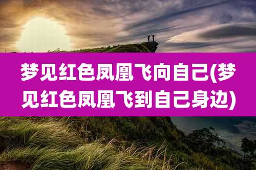 梦见红色凤凰飞向自己(梦见红色凤凰飞到自己身边)