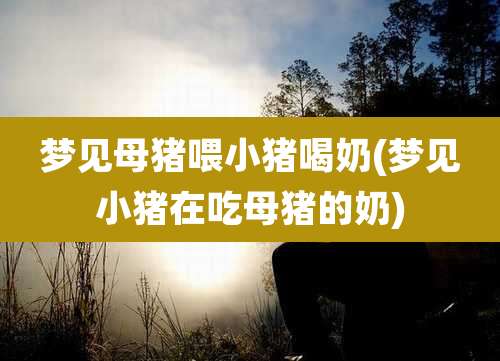 梦见母猪喂小猪喝奶(梦见小猪在吃母猪的奶)