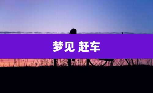 梦见 赶车