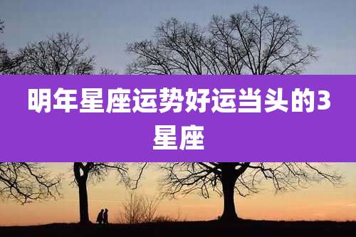 明年星座运势好运当头的3星座
