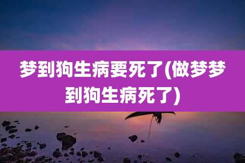 梦到狗生病要死了(做梦梦到狗生病死了)