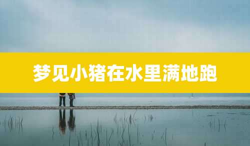 梦见小猪在水里满地跑