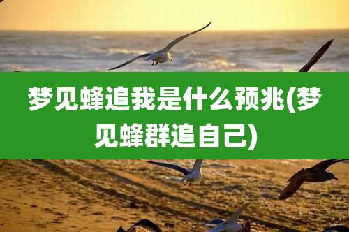 梦见蜂追我是什么预兆(梦见蜂群追自己)