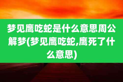 梦见鹰吃蛇是什么意思周公解梦(梦见鹰吃蛇,鹰死了什么意思)