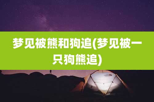 梦见被熊和狗追(梦见被一只狗熊追)