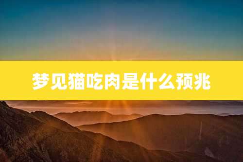 梦见猫吃肉是什么预兆