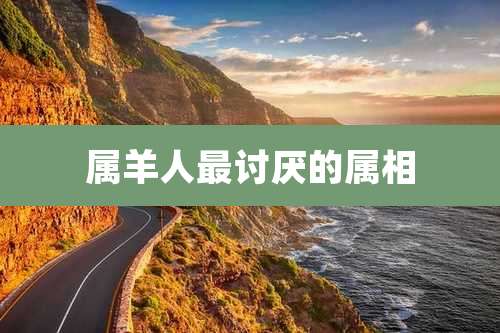 属羊人最讨厌的属相