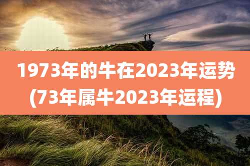 1973年的牛在2023年运势(73年属牛2023年运程)