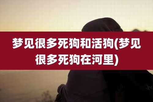 梦见很多死狗和活狗(梦见很多死狗在河里)