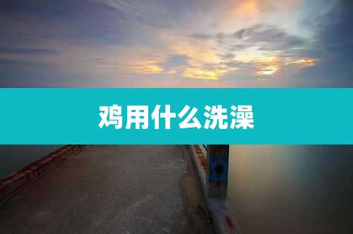 鸡用什么洗澡