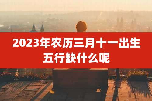 2023年农历三月十一出生五行缺什么呢