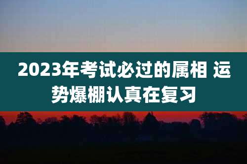 2023年考试必过的属相 运势爆棚认真在复习