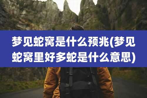 梦见蛇窝是什么预兆(梦见蛇窝里好多蛇是什么意思)