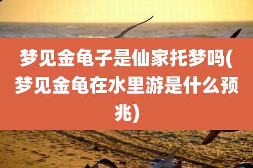 梦见金龟子是仙家托梦吗(梦见金龟在水里游是什么预兆)