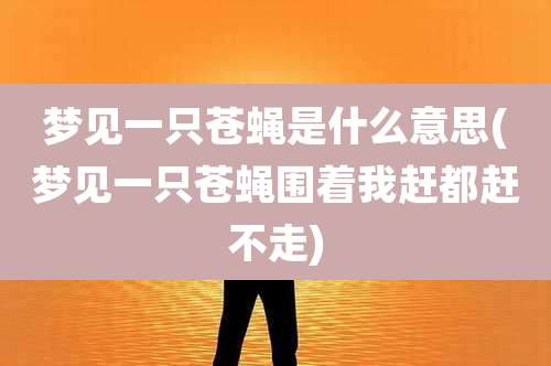 梦见一只苍蝇是什么意思(梦见一只苍蝇围着我赶都赶不走)